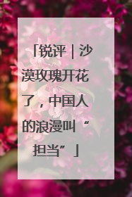 锐评｜沙漠玫瑰开花了，中国人的浪漫叫“担当”